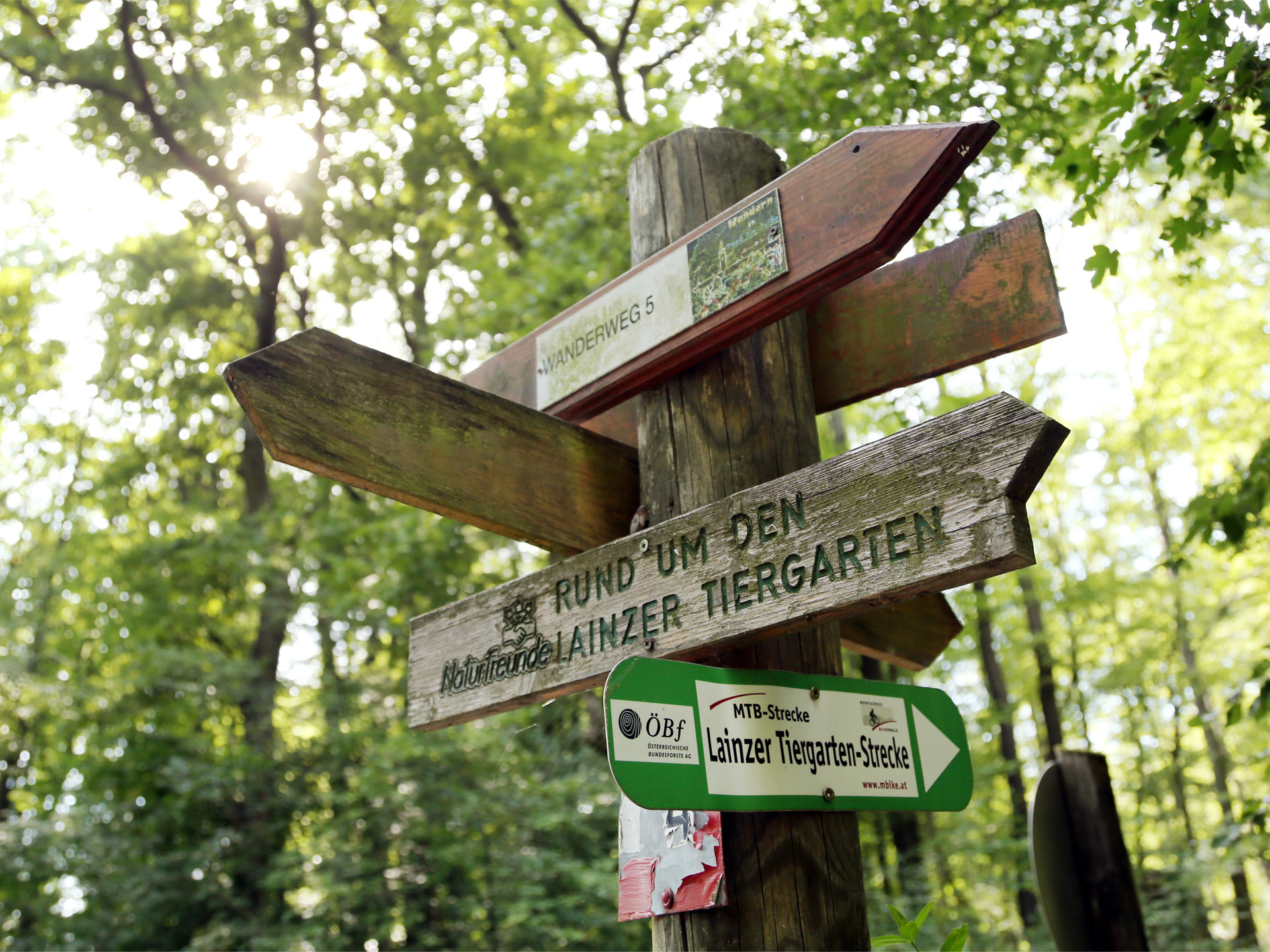 Wegweiser im Wald mit Schildern